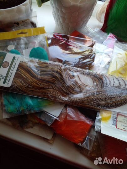 Охота и рыбалка