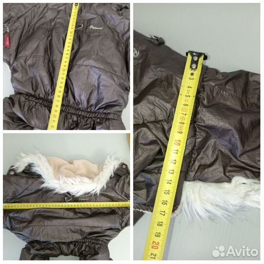 Одежда для собак