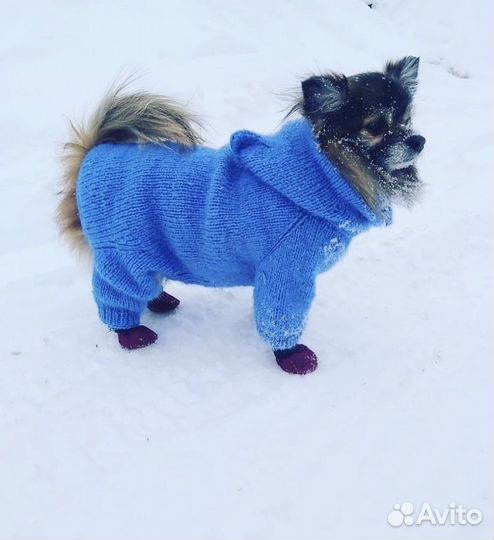 Вязаные вещи для животных