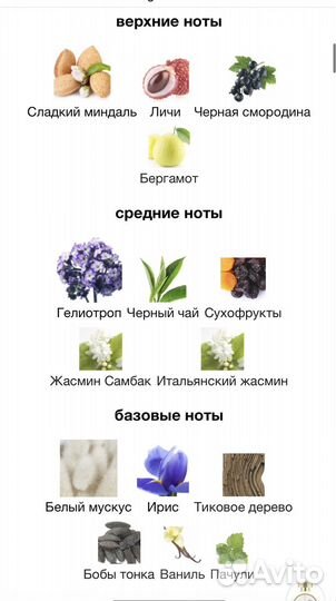 Proposal Haute Fragrance Company HFC пробник