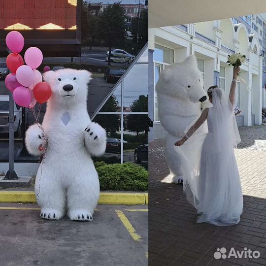 Аниматор Мишка. Поздравление Белого Медведя