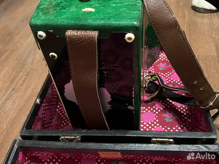 Аккордеон юность 2