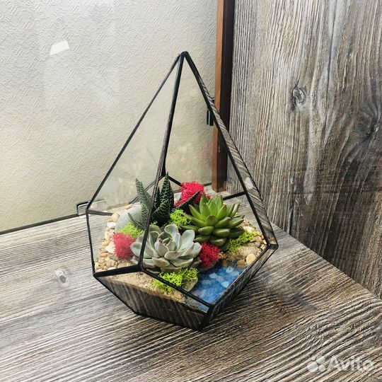 Флорариум Капля с суккулентами