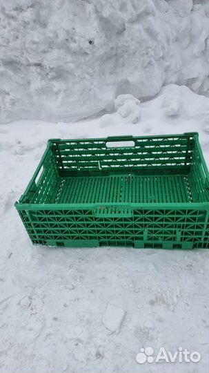 Пластиковые ящики для овощей бу