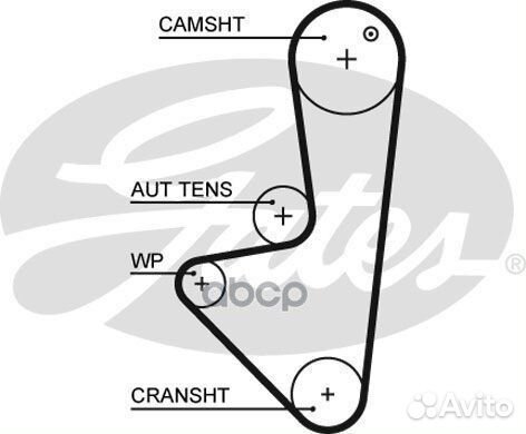 Комплект ремня грм + насос водяной citroen