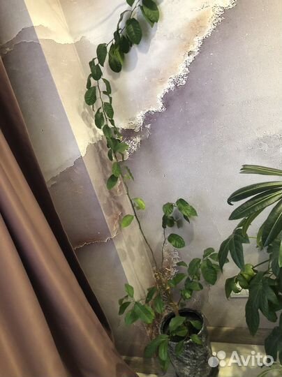 Каламандин