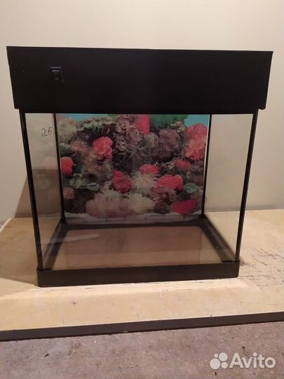 Аквариум новый