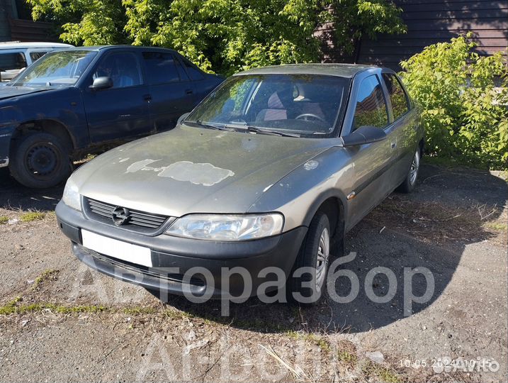 В разборе Opel Vectra B 1.6