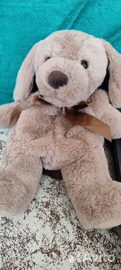 Собака рюкзак детский