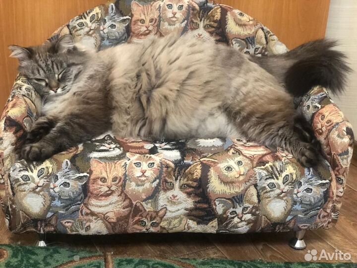 Диван - лежанка для кошек и мелких собак