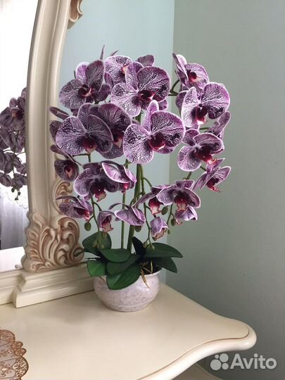 Орхидея