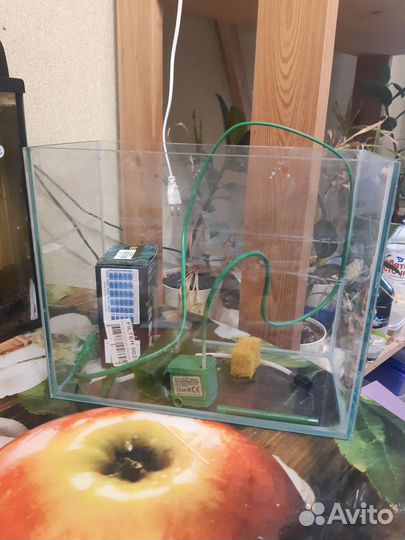 Аквариум 10 литров