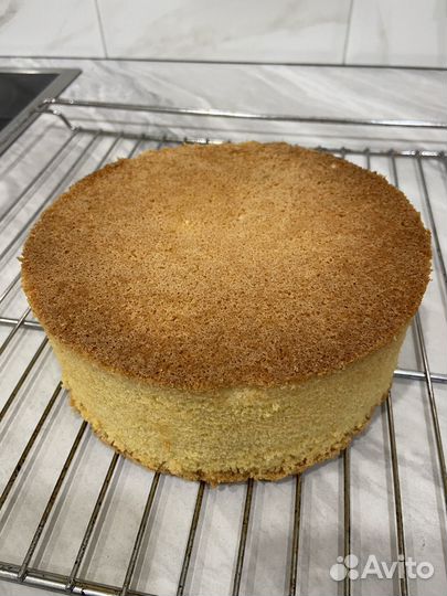 Заготовка для торта бисквит