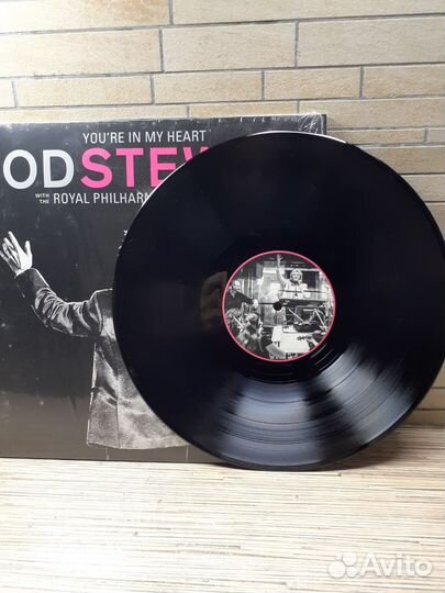 Виниловая пластинка ROD stewart