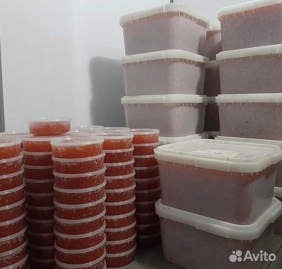 Красная икра горбуши 2023