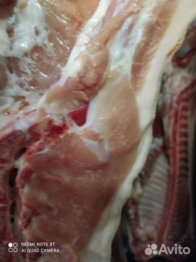 Мясо свинина