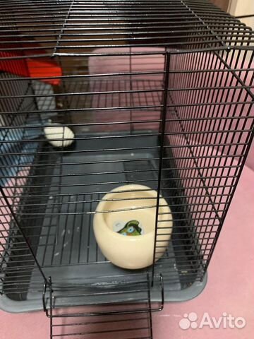 Клетка для грызунов