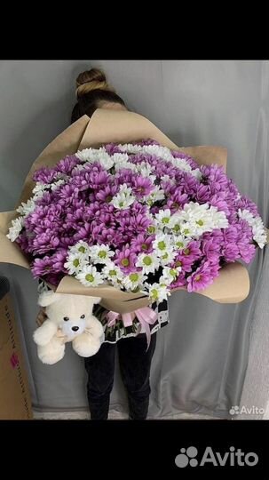 Букет из 41 белой и розовой хризантемы