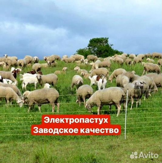 Электроизгородь. Защита пасеки