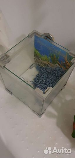 Аквариум