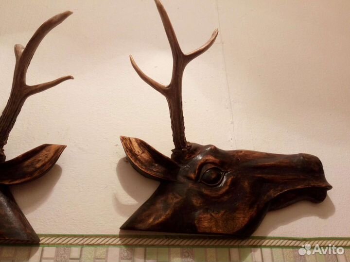 Рога оленьи