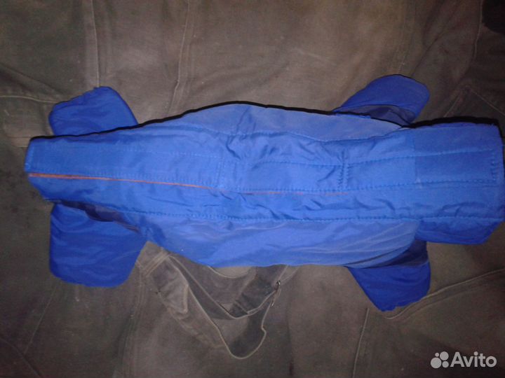 Одежда для таксы