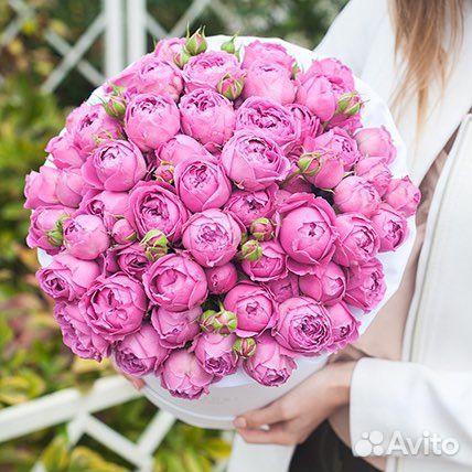 Пионовидные кустовые розы