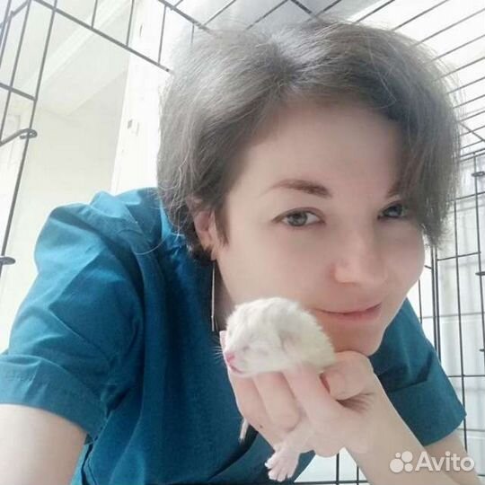 Ветеринарный врач на дом круглосуточно