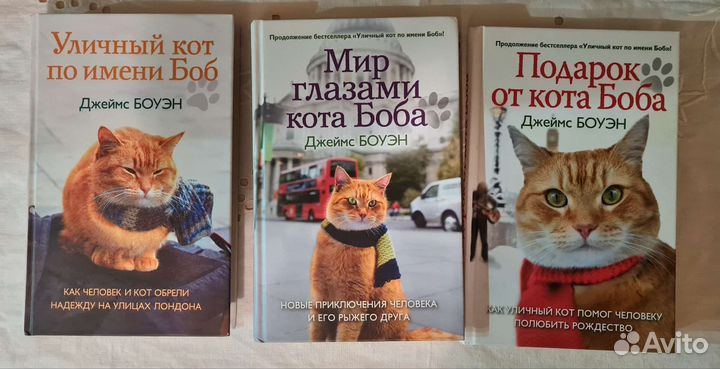 Уличный кот по имени Боб