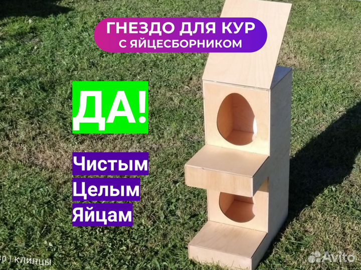 Гнездо для кур