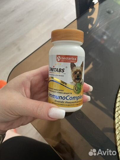 Корм для собак