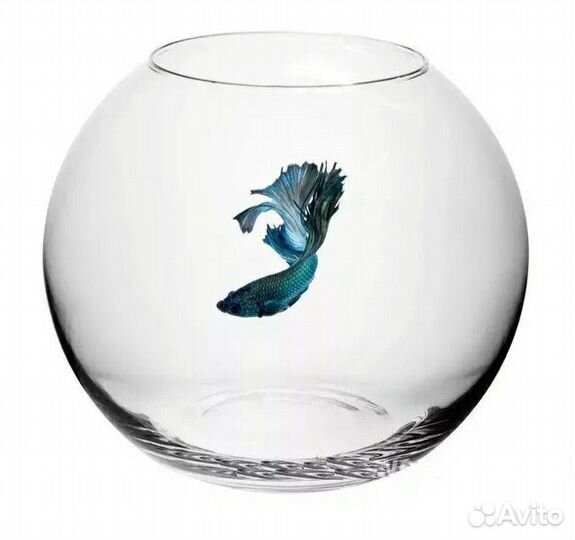 Аквариум круглый