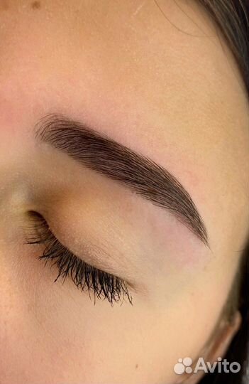 Обучение бровист