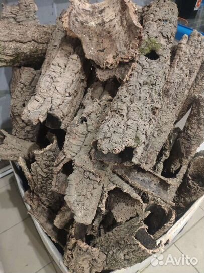 Кора пробковый дуб