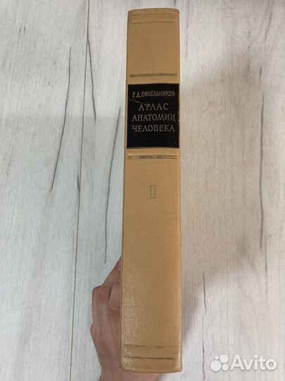 Атлас анатомии человека Том 2 Синельников