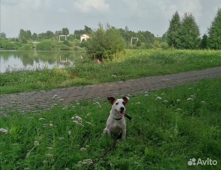 Вязка
