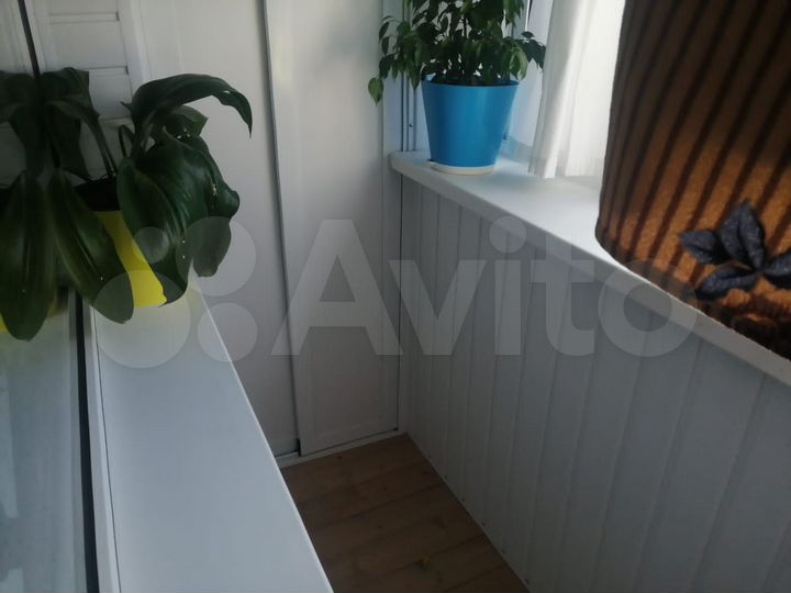 1-к. квартира, 31,4 м², 5/5 эт.