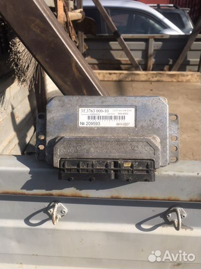 Мозги эбу на газель