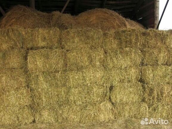 Сено, солома