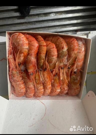 Морепродукты оптом и в розницу