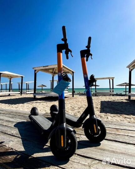 Электросамокаты Ninebot для кикшеринга