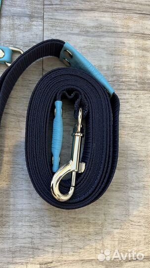 Ошейники и поводки для собак