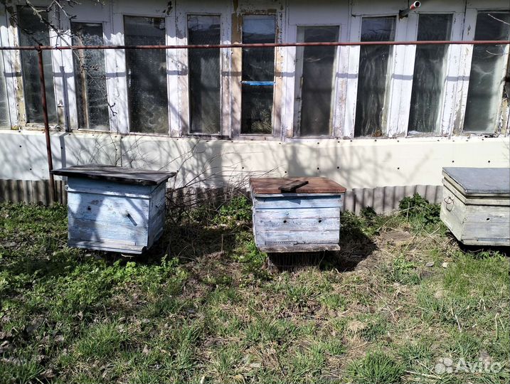 Продам ульи магазинные рамки сушь