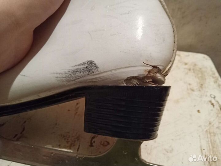 Детские коньки Montana