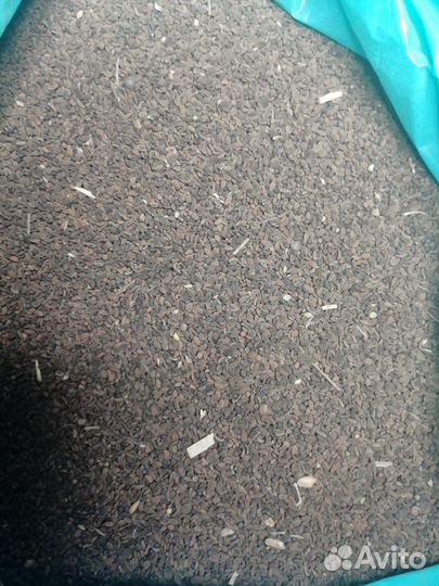 Семена Фацелии