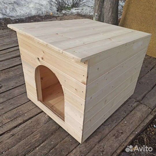 Собачья будка