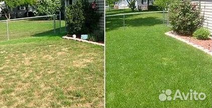 Укладка Рулонного газона