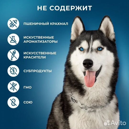 Гипоаллергенный корм для собак(Рыба) Холистик