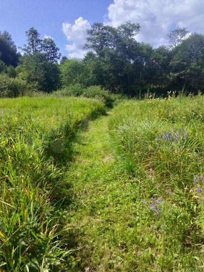 Участок 15 га (ИЖС)