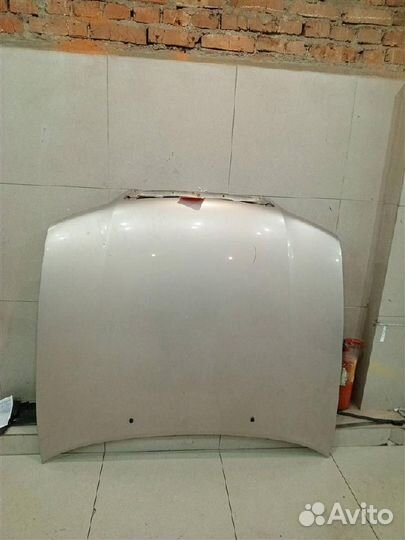 Капот Nissan Maxima